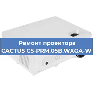 Замена линзы на проекторе CACTUS CS-PRM.05B.WXGA-W в Ростове-на-Дону